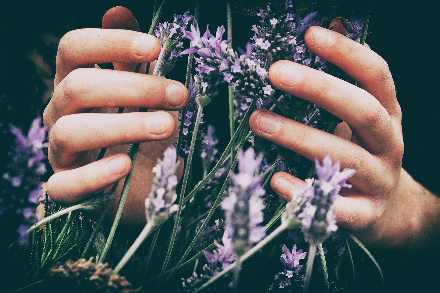 Why Does a KINEM Scent Linger Longer?